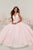 Tiffany Designs - 16325 Floral Plunging V-Neck Ballgown In Pink