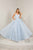 Tiffany Designs - 16325 Floral Plunging V-Neck Ballgown In Blue