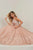 Tiffany Designs - 16352 Halter Rhinestone Ornate A-Line Gown In Pink