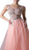 Cinderella Divine - Applique Illusion Bateau A-line Gown