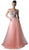 Cinderella Divine - Applique Illusion Bateau A-line Gown