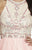 Jolene Collection - 17080 Embellished Tulle Evening Gown In Pink and Neutral