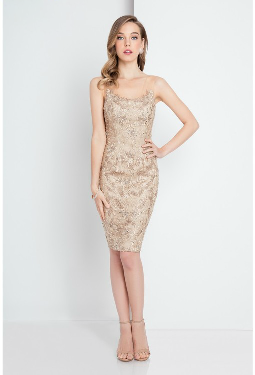 Terani Couture - 1721C4001 Lace Scoop Sheath Dress in Neutral