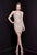 Terani Couture - 1721H4516 Crystal Embellished Sheath Dress in Neutral