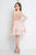 Terani Couture - 1721H4545 Intricately Beaded Flounce Dress in Pink and Neutral