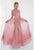 Terani Couture - 1722E4208 High Neck Long Sleeve Full Skirt Gown in Pink and Neutral