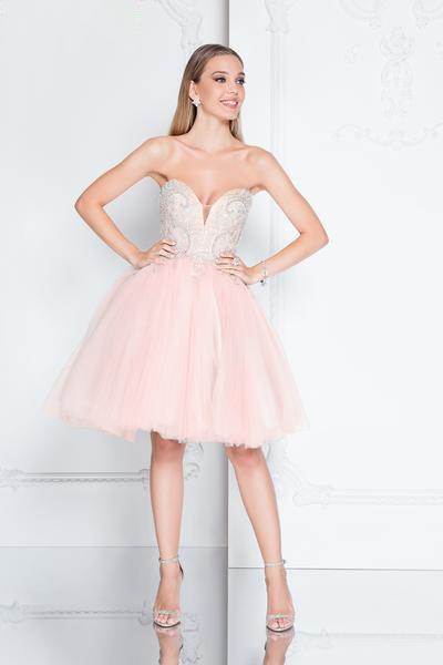 Terani Couture - 1811P5102 Embroidered Sweetheart Plunge Short Dress In Pink and Neutral