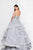 Terani Couture - 1811P5738 Embroidered Sweetheart Tulle Ballgown In Silver