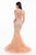 Terani Couture - 1822GL7501 Luxurious Illusion Bateau Mermaid Dress in Orange
