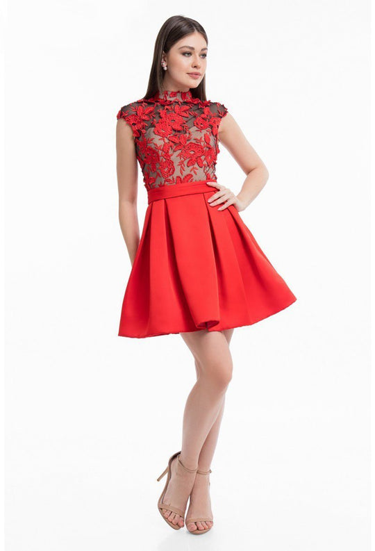 Terani Couture - 1822H7872 Embroidered High Neck A-line Dress in Red and Black