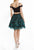 Terani Couture - 1825H7934 Two-Piece Embroidered Lace Cocktail Dress In Black and Green