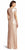Adrianna Papell - 191917080 Sequin Bateau Short Sleeves Dress in Neutral