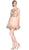 Cinderella Divine - Ruffled Illusion Gilt Applique A-Line Dress