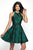 Blush Couture - C1119 Fit and Flare Floral Brocade Halter Dress