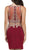 Dancing Queen - 2000 Mock Two-Piece Illusion Lace Cocktail Dress In Red