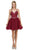 Dancing Queen - 2004 Beaded Floral Lace Tulle Cocktail Dress In Red