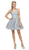 Dancing Queen - 2004 Beaded Floral Lace Tulle Cocktail Dress In Silver
