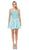 Dancing Queen - 2026 Embroidered V-neck A-line Homecoming Dress