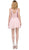 Dancing Queen - 2026 Embroidered V-neck A-line Homecoming Dress