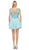 Dancing Queen - 2026 Embroidered V-neck A-line Homecoming Dress
