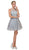 Dancing Queen - 2156 Halter Floral Appliques Tulle Cocktail Dress In Silver