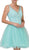 Appliqued Fitted V-Neck Homecoming Dress - ADASA
