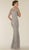 Rina Di Montella - RD2403 Lace Applique Illusion Bateau Sheath Gown in Silver and Neutral