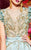MNM Couture - 2430 Floral Appliqued Short Sleeve Illusion Ballgown In Blue