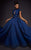 MNM COUTURE - 2444 Floral Applique High Neck Ballgown With Train In Blue