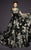 MNM COUTURE - 2453 Cap Sleeve A-line Dress With Train in Black