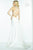 Alyce Paris Claudine - 2515 Dress in Ivory Nude