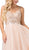 Dancing Queen - 2519 Sleeveless Embroidered Bodice Tulle Gown In Neutral