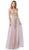 Dancing Queen - 2525 Gilt-Appliqued Illusion Overskirt Gown In Pink