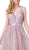Dancing Queen - 2596 Illusion Plunging Neck Floral Applique Tulle Gown In Pink