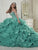 Quinceanera Collection - 26774 Beaded Sweetheart Organza Ballgown