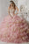 Quinceanera Collection - 26774 Beaded Sweetheart Organza Ballgown