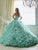 Quinceanera Collection - 26800 Crystal Beaded Rosette Ruffle Ballgown