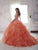 Quinceanera Collection - 26805 Strapless Beaded Ballgown With Train