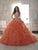 Quinceanera Collection - 26805 Strapless Beaded Ballgown With Train