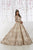 Quinceanera Collection - 26917 Beaded Illusion Long Sleeve Ballgown In Gold