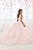 Quinceanera Collection - 26922 Embroidered Floral Accented Ballgown In Pink