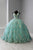 Quinceanera Collection - 26922 Embroidered Floral Accented Ballgown In Green