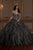 Quinceañera Collection - 26937 Novelty Glitter Ball Gown In Black