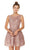 Lace Illusion Bateau A-line Dress in Pink
