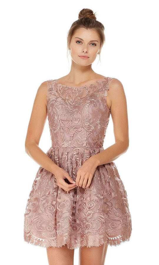 Lace Illusion Bateau A-line Dress in Pink