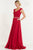 Alyce Paris Special Occasion Collection - 27163 Dress