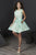 Tiffany Homecoming - 27198 Sleeveless Striped Organza A-line Dress In Green and Neutral