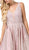 Dancing Queen - 2747 Lace Appliqued Pleated A-Line Prom Dress In Pink