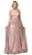 Dancing Queen - 2834 Plunging V-Neck A-Line Evening Gown In Pink and Gold