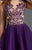 Clarisse - 2918 Embroidered Illusion Tulle Dress in Purple